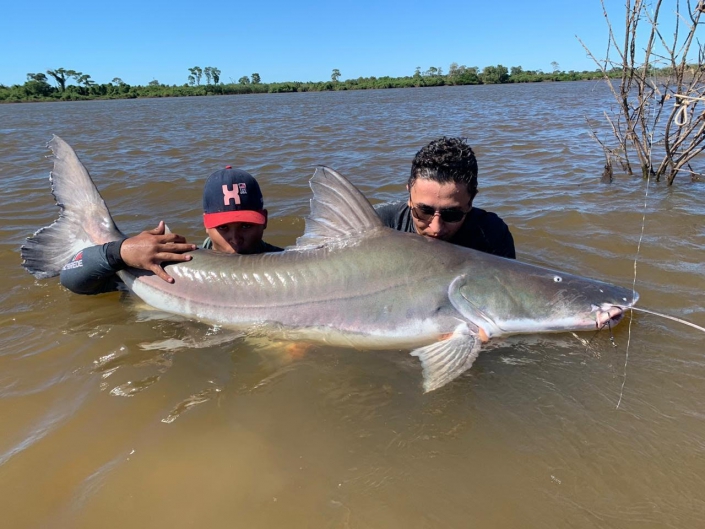 Pesca de piraíba em Mato Grosso