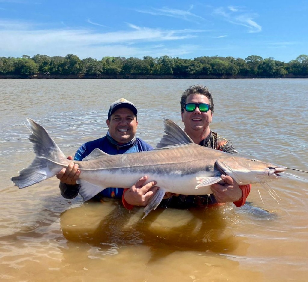 Pesca de piraíba no Rio Araguaia